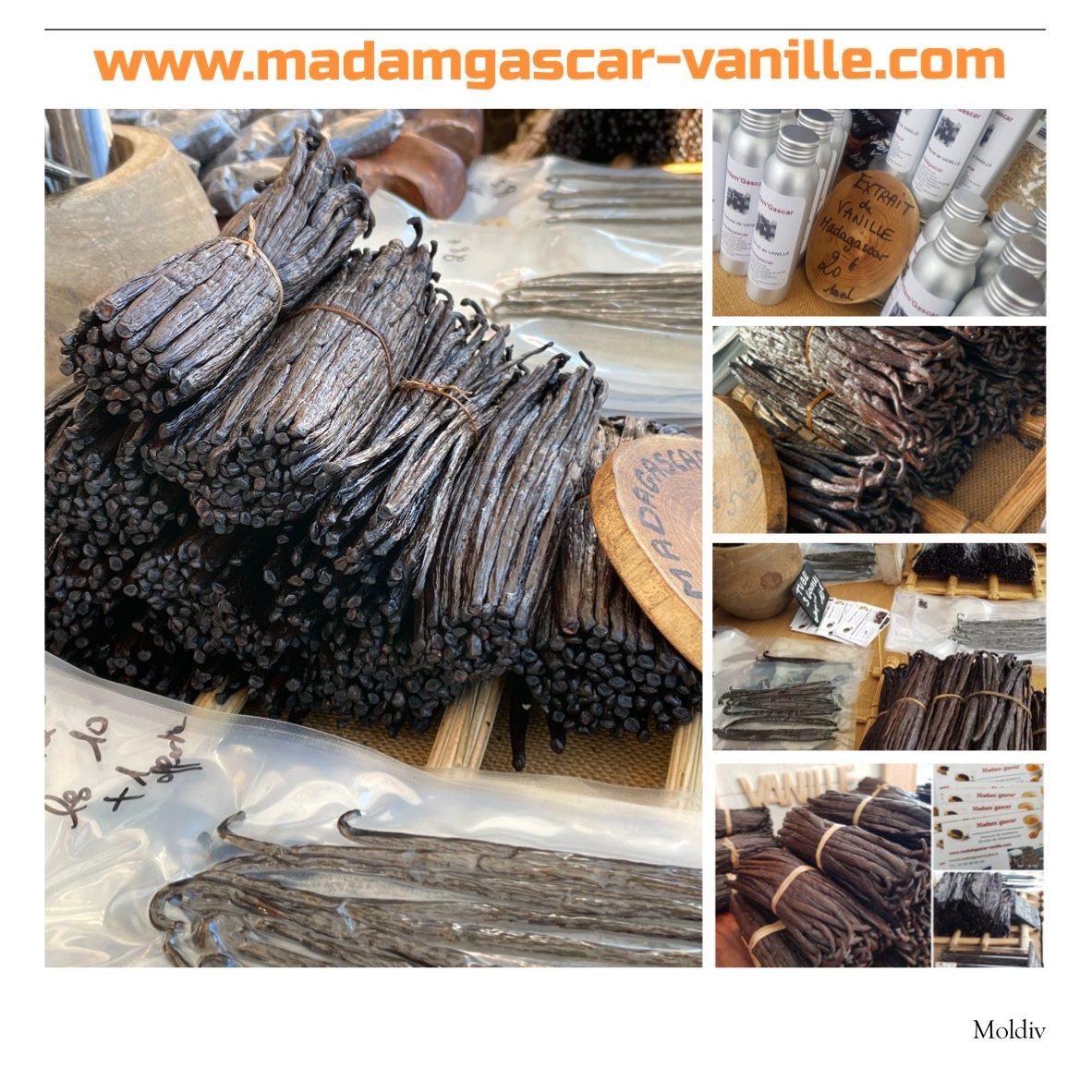 boutique Madamgascar vanille